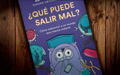 ¿Qué puede salir mal?