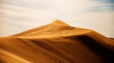 Dune